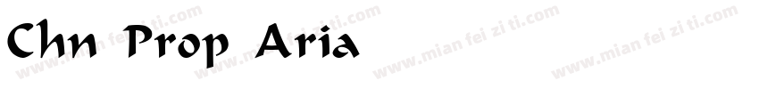 Chn Prop Arial Norma字体转换